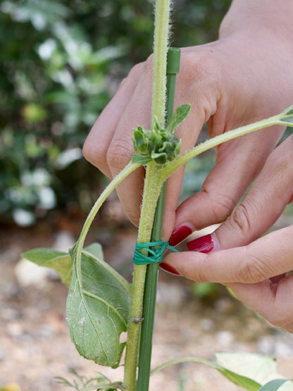 سلك تثبيت فولاذي مع بلاستيك مقوى – 30م