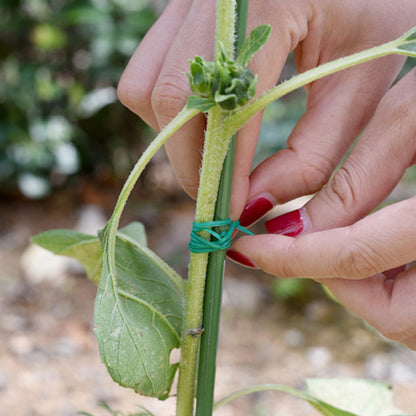 سلك تثبيت فولاذي مع بلاستيك مقوى – 30م